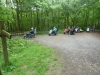 Wyre Forest 002 (640x480)