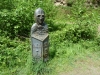 Wyre Forest 017 (640x480)