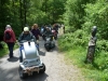Wyre Forest 018 (640x480)
