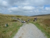 Heart of Dartmoor 012 (1024x768)