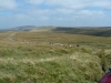 Heart of Dartmoor 044 (1024x768)