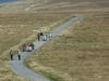 Heart of Dartmoor 046 (1024x768)