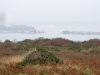 IMG_9274_1