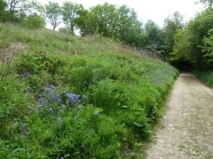 2014 Herefordshire Ridgeway