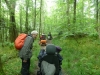 High Hare Head Eliz 004 (640x480)
