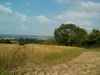 IMG_20140723_162829