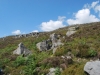 DSC_0111 (800x536)