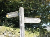 IMG_1285 (800x533)