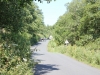 IMG_1288 (800x533)