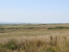 IMG_1307 (800x533)