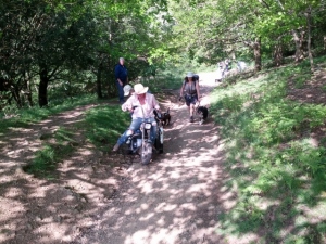 2014 Hangman's Hill