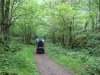 Leighton Moss 008 (640x427)