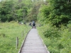 Leighton Moss 031 (640x427)