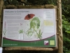 Leighton Moss 039 (640x427)