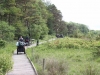 Leighton Moss 045 (640x427)