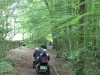 Leighton Moss 048 (640x427)