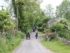 Leighton Moss 049 (640x427)