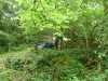 Leighton Moss 065 (640x480)