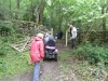 Leighton Moss 066 (640x480)