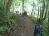 Leighton Moss 073 (640x480)