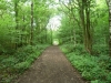 Leighton Moss 089 (640x480)