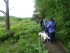 Leighton Moss 099 (640x480)