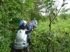 Leighton Moss 101 (640x480)