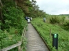 Leighton Moss 106 (640x480)
