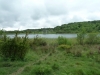 Leighton Moss 107 (640x480)
