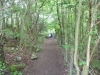 Leighton Moss 114 (640x480)