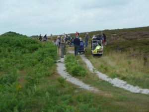 2014 Middlebere Heath Meander
