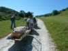 Nine Barrow Down 003 (640x480)