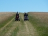 Nine Barrow Down 024 (640x480)