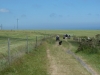 Nine Barrow Down 057 (640x480)