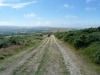 Nine Barrow Down 061 (640x480)