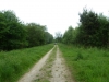 Old Wife's Way 014 (640x480)
