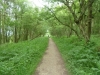 Old Wife's Way 017 (640x480)