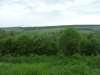 Old Wife's Way 020 (640x480)