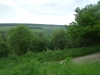 Old Wife's Way 021 (640x480)