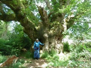 2014 Savernake