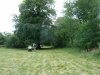 Savernake Forest 001 (800x600)