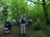 Savernake Forest 005 (800x600)