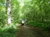Savernake Forest 006 (800x600)