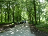 Savernake Forest 008 (800x600)
