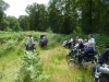 Savernake Forest 019 (800x600)