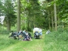 Savernake Forest 027 (800x600)