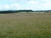 Stonehenge 074 (640x480)