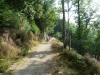 Tamar Trails North 008 (1024x768)