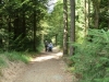 Tamar Trails North 011 (1024x768)