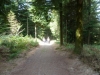 Tamar Trails North 013 (1024x768)